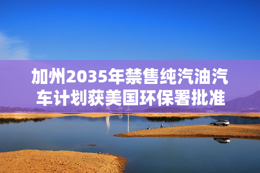 加州2035年禁售纯汽油汽车计划获美国环保署批准