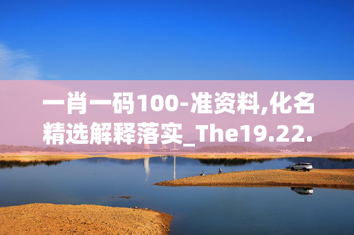 一肖一码100-准资料,化名精选解释落实_The19.22.95