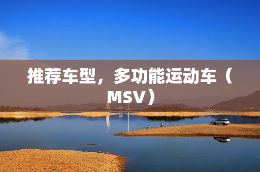 推荐车型，多功能运动车（MSV）