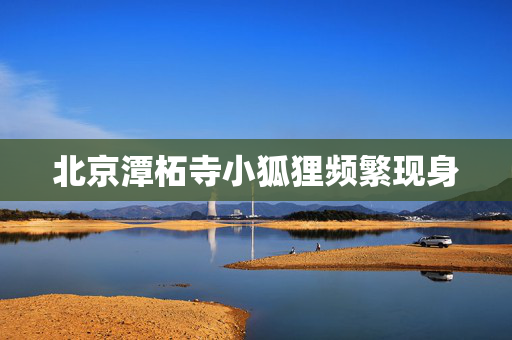 “叙利亚人正在庆祝13年战争的结束——但接下来发生的事情不容忽视。”