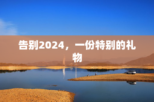 告别2024，一份特别的礼物