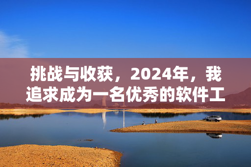 挑战与收获，2024年，我追求成为一名优秀的软件工程师