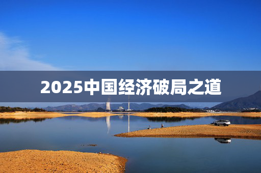 2025中国经济破局之道