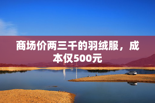 商场价两三千的羽绒服，成本仅500元