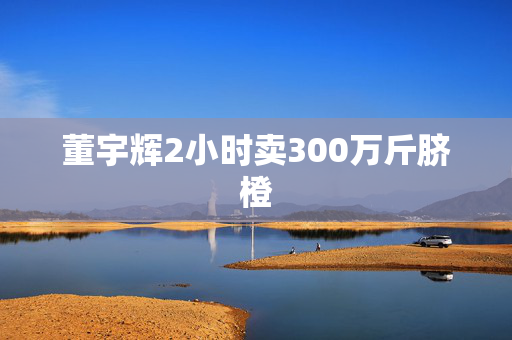 董宇辉2小时卖300万斤脐橙