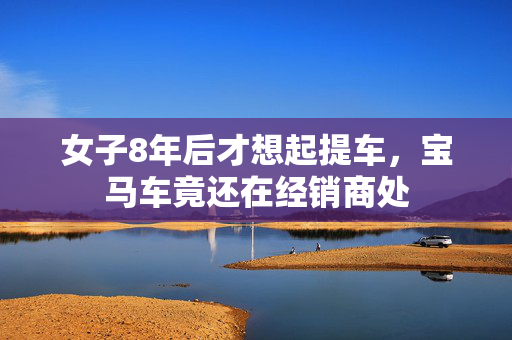 深度解析，若开军遭遇空袭，缅甸政府军行动导致约40人死亡事件