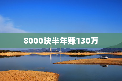 8000块半年赚130万