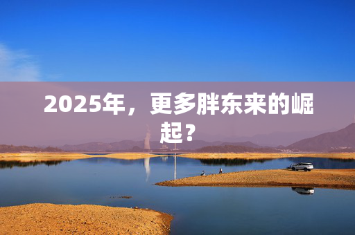 2025年，更多胖东来的崛起？