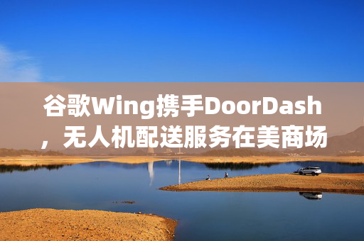 谷歌Wing携手DoorDash，无人机配送服务在美商场启航