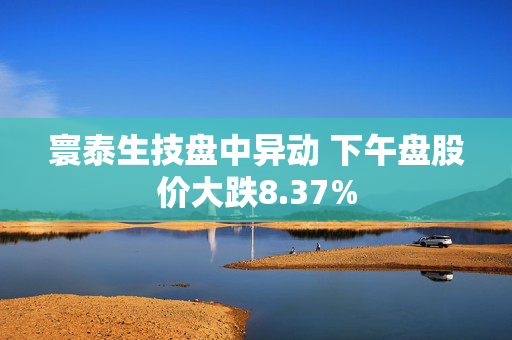 寰泰生技盘中异动 下午盘股价大跌8.37%