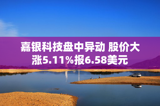 嘉银科技盘中异动 股价大涨5.11%报6.58美元