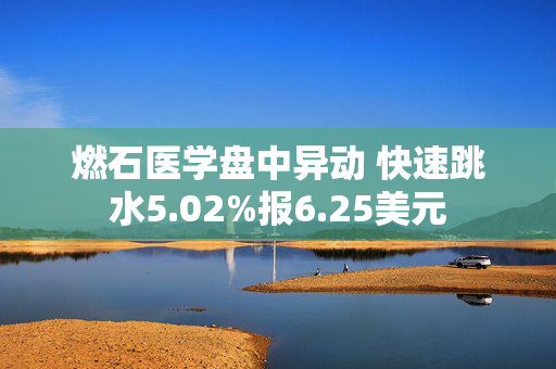 燃石医学盘中异动 快速跳水5.02%报6.25美元