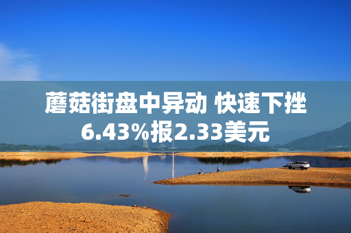 蘑菇街盘中异动 快速下挫6.43%报2.33美元