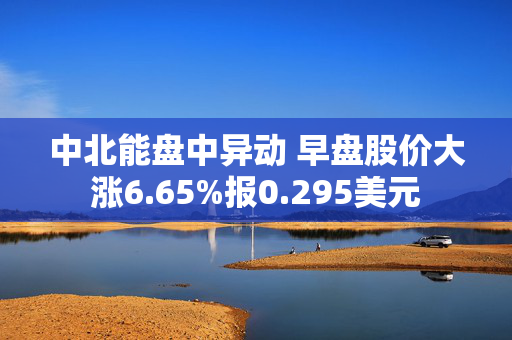 中北能盘中异动 早盘股价大涨6.65%报0.295美元