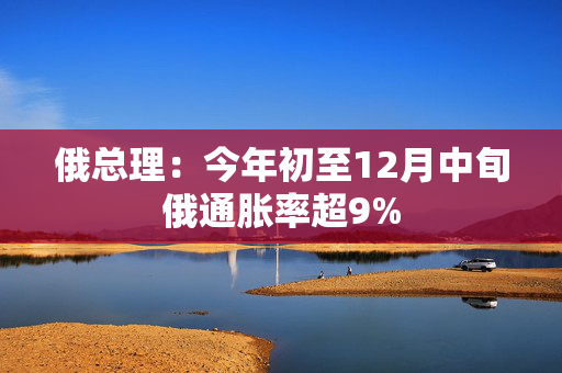 俄总理：今年初至12月中旬俄通胀率超9%