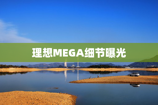 理想MEGA细节曝光