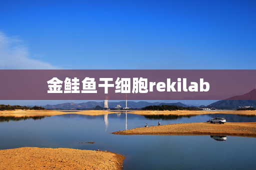 金鲑鱼干细胞rekilab