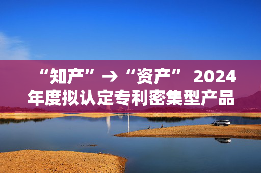 “知产”→“资产” 2024年度拟认定专利密集型产品76%出自中小企业