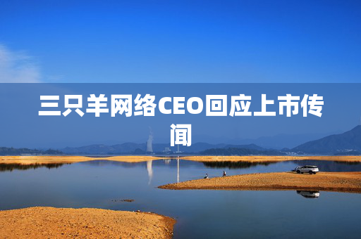 三只羊网络CEO回应上市传闻