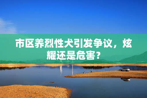 市区养烈性犬引发争议，炫耀还是危害？