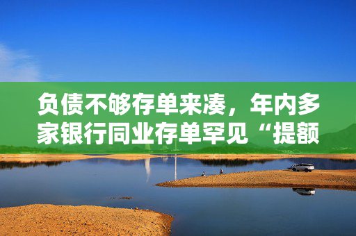 负债不够存单来凑，年内多家银行同业存单罕见“提额”