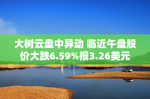 大树云盘中异动 临近午盘股价大跌6.59%报3.26美元