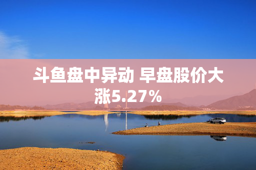 斗鱼盘中异动 早盘股价大涨5.27%