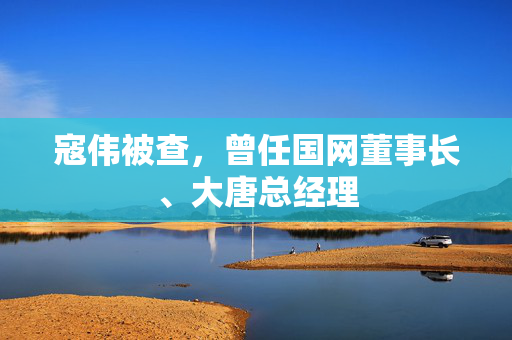 寇伟被查，曾任国网董事长、大唐总经理