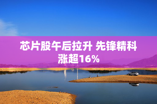 芯片股午后拉升 先锋精科涨超16%