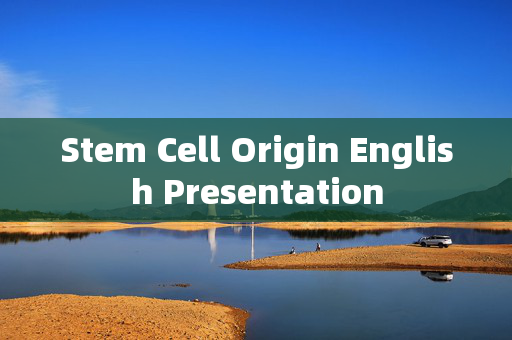 Stem Cell Origin English Presentation