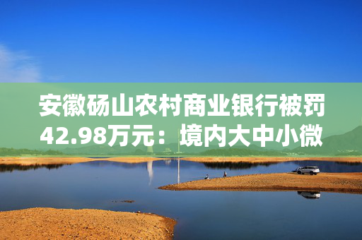 安徽砀山农村商业银行被罚42.98万元：境内大中小微企业贷款统计数据虚假，发现假币而不收缴等