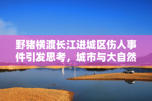 野猪横渡长江进城区伤人事件引发思考，城市与大自然的界限模糊