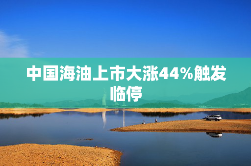 中国海油上市大涨44%触发临停