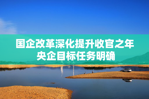 国企改革深化提升收官之年 央企目标任务明确