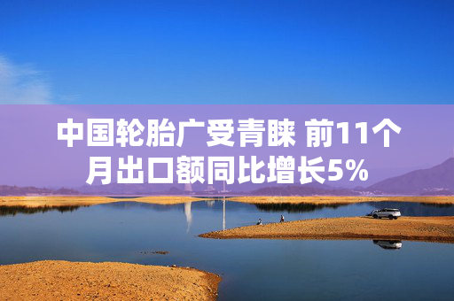 中国轮胎广受青睐 前11个月出口额同比增长5%