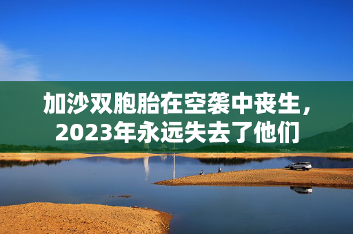 加沙双胞胎在空袭中丧生，2023年永远失去了他们