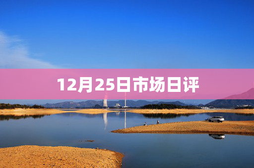 12月25日市场日评