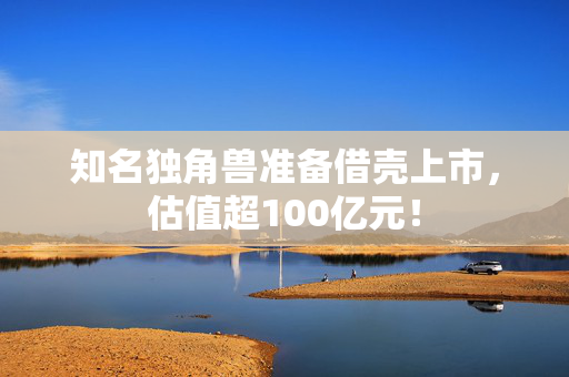 知名独角兽准备借壳上市，估值超100亿元！