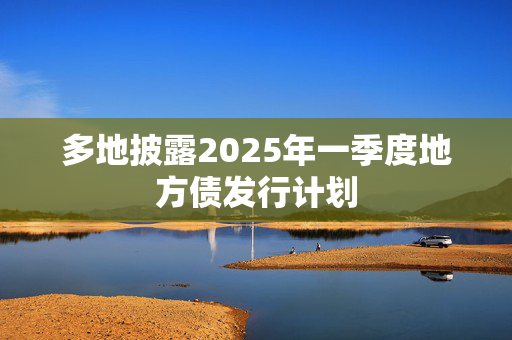 多地披露2025年一季度地方债发行计划