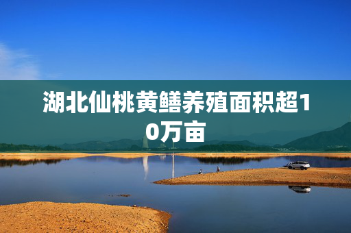 湖北仙桃黄鳝养殖面积超10万亩