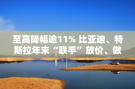 至高降幅逾11% 比亚迪、特斯拉年末“联手”放价、做“龙年”最后冲刺