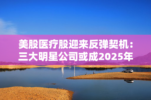 美股医疗股迎来反弹契机：三大明星公司或成2025年投资亮点