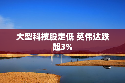 大型科技股走低 英伟达跌超3%