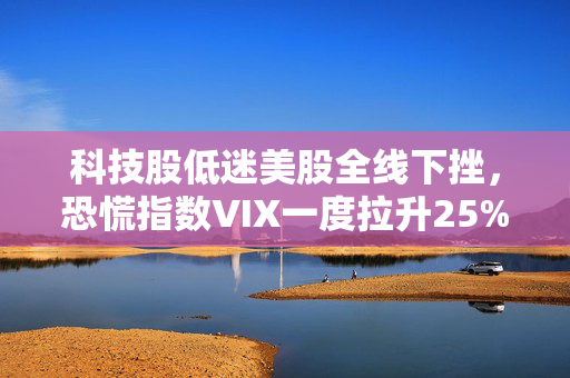 科技股低迷美股全线下挫，恐慌指数VIX一度拉升25%