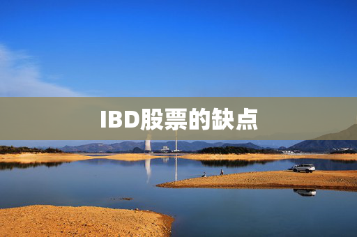 IBD股票的缺点