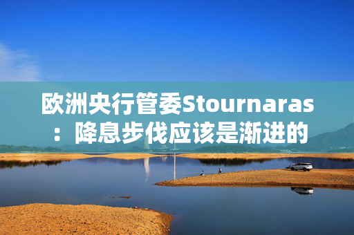 欧洲央行管委Stournaras：降息步伐应该是渐进的