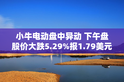 小牛电动盘中异动 下午盘股价大跌5.29%报1.79美元