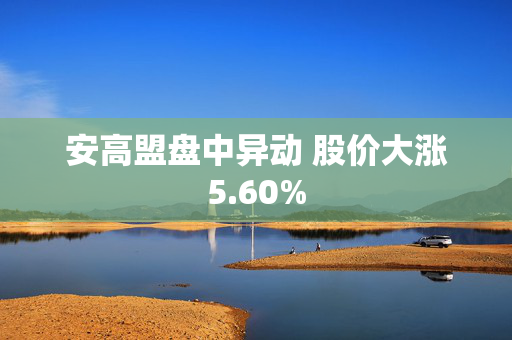 安高盟盘中异动 股价大涨5.60%