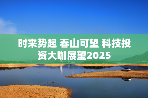 时来势起 春山可望 科技投资大咖展望2025