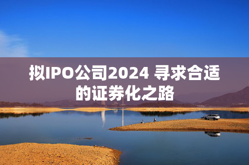 拟IPO公司2024 寻求合适的证券化之路